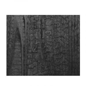 WL Carbonized Wood Nature